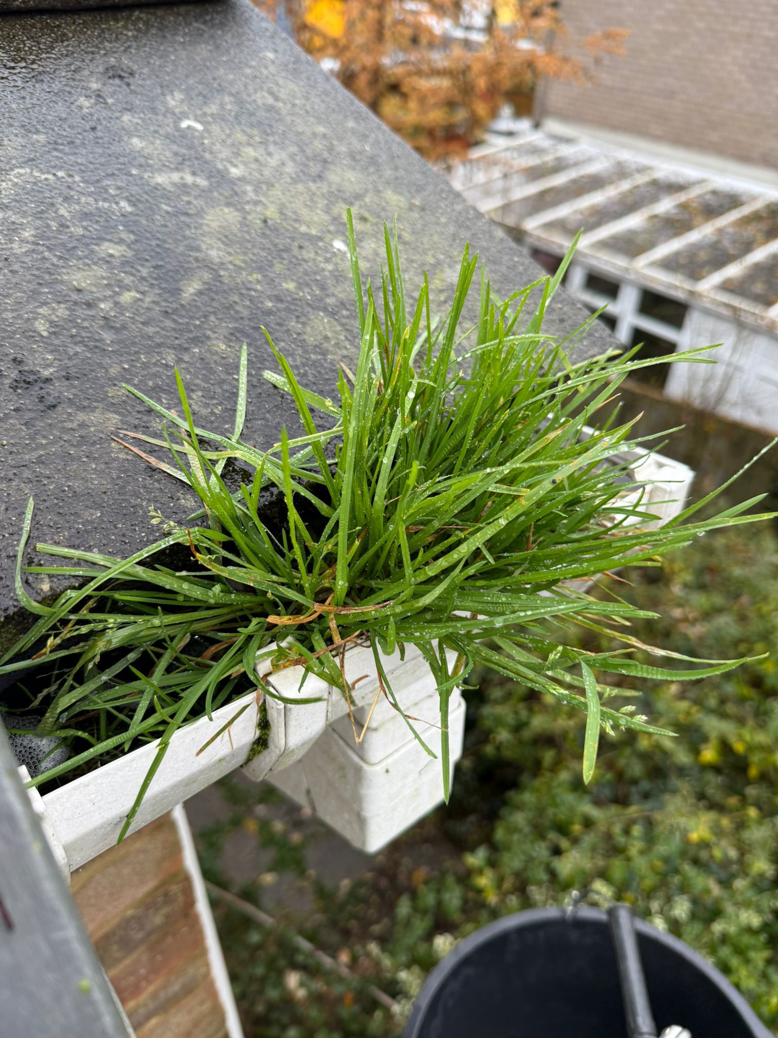 Blocked gutter downpipe in Hatfield